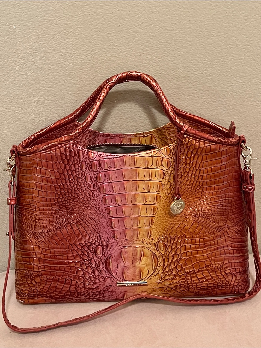 Brahmin Elaine